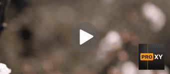 video bokeh
